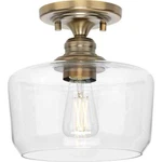 Progress Lighting Aiken Collection 1-LIGHT Vintage Brass Clear Glass Farmhouse. Fixed Price $55.00.