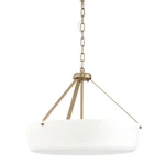 Progress Lighting P500508 Lieon 3 21"W Pendant / Converts - Bronze. Fixed Price $299.96.