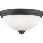Z-lite 443F3-BRZ Ashton Light 15 Inch Bronze Flush Mount Ceiling 5.5. Fixed Price $60.20.