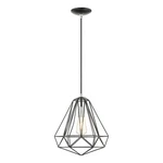 Livex Lighting Knox 1-LIGHT Farmhouse Metal Single Pendant Shiny Black. Fixed Price $89.99.