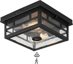 Outdoor Flush Mount Motion Sensor Ceiling Light - Timeless Industrial Design. Fixed Price $54.99.