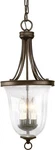 Progress Lighting 9.75 In. 3-LIGHT Antique Bronze Foyer Pendant, Seeded Glass. Fixed Price $124.99.