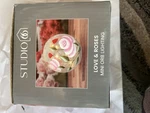Studio 66 Mini Orb Lighting Love & Roses. Fixed Price $19.99.