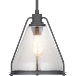 Progress Lighting P500135 Graphite Range Single 13"W Pendant. Fixed Price $259.99.