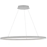Dainolite Circulo 1 Light 63W Horizontal Chandelier, Silver/white CIR-4463C-SV. Fixed Price $654.00.