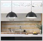 Holohatal Blk/ Wht Pendant Lights 2-PACK Kitchen 16-INCH Dome New. FREESHIPL48. Fixed Price $129.99.