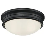 Westinghouse 6324100 Meadowbrook Light 13"W Flush Mount Bowl - Black. Fixed Price $42.22.