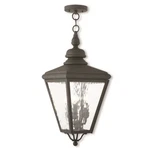 Livex Cambridge Light Outdoor Pendant Lantern, Black/clear Water 2035-04. Fixed Price $839.96.