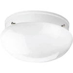 Progress Lighting P3410-30 Fitter 2-LIGHT 9-1/2" Close-to-ceiling White. Fixed Price $19.99.
