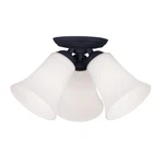 Livex Lighting Ridgedale Ceiling Mount Black 6462-04. Fixed Price $125.96.