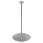 Livex Dublin 10.25" Light Pendant, Gray/nickel/gray/white Inside 49102-80. Fixed Price $299.96.
