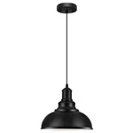 Loehinle Lighting Vintage Industrial Fixtures, 1 Pack Pendant, Black. Fixed Price $53.99.