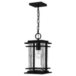Earth Black One Light Mini Pendant From The Mcalister Collection. Fixed Price $379.99.