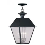 Livex Lighting Mansfield Outdoor Chain Hang Black. Fixed Price $1119.96.