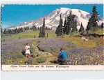Postcard Mount Rainier National Park Washington Usa. Fixed Price $9.09.