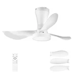 Ceiling Fans With Lights 32 Inch Low Profile Includes Remote .... Fixed Price $71.73.