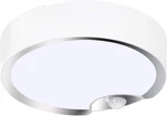 Motion Sensor Ceiling Battery Operated Indoor/outdoor Led Lights F. Fixed Price $40.52.