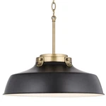 Bellevue CA9D328A Light 18"W Pendant. Fixed Price $296.00.