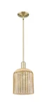 Innovations Lighting 716-1S-13-8 Bridal Veil Pendant Brass. Fixed Price $259.60.