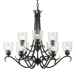 Golden Parrish 9-LIGHT Chandelier In Black. Fixed Price $609.99.