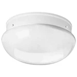 Progress Lighting P3412-30 2-LIGHT Flush Mount Ceiling W/white Glass. Fixed Price $17.99.