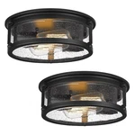 2-LIGHT Flush Mount Fixtures 12INCH Vintage Industrial. Fixed Price $118.11.
