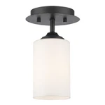 Z-lite 435F1 Bordeaux Light Flush Mount Ceiling Fixture Bronze. Fixed Price $46.20.
