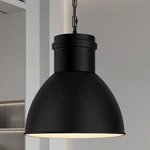 Boostarea Modern Black Pendant Light For Kitchen Island, Adjustable Height. Fixed Price $19.99.