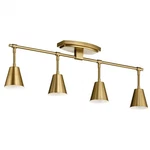 Track Light 120 V 9.5 Inches Tall By 4.75 Wide-brushed Natural. Fixed Price $181.95.