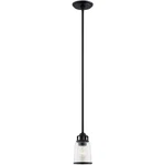 Livex Lighting 40021-04 Lawrenceville 5 Inch Black Pendant Ceiling. Fixed Price $197.96.