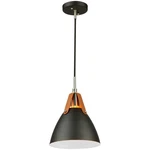 Artcraft Lighting SC13321BK Tote Led 9 Inch Black Pendant Ceiling. Fixed Price $197.80.
