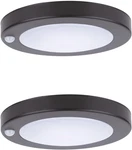 Motion Sensor Ceiling Light Fixture For Pantry Hallway Stairway Porch Doorway. Fixed Price $49.21.