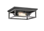 Worldwide Lighting Weston 2-LIGHT Flush Mount Fixture. Fixed Price $89.99.