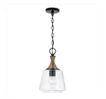 Capital Lighting Amara 9" Mini Pendant Matte Black Brass Open Box Defect. Fixed Price $124.09.