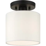 Livex Lighting 41094-04 Meridian 7 Inch Black Semi Flush Ceiling. Fixed Price $79.96.