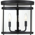Savoy House Lighting 6-1043-3-BK Penrose Semi-flush Mount Black. Fixed Price $193.60.