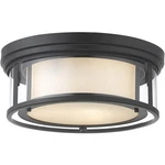 Z-lite 426F16-MB Ceiling Fixtures Indoor Lighting. Fixed Price $98.40.
