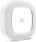 Motion Sensor Ceiling Light Battery Operated, Wireless Activated Led. Fixed Price $48.50.