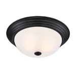 Designers Fountain 2-LIGHT Flush Mount Ceiling Light, 13 Inch Lighting Fixtur.... Fixed Price $38.78.