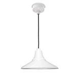 Ccocoweb 12" Calla Indoor Integrated Led Barn Pendant Light 2700 K Warm White. Fixed Price $149.99.