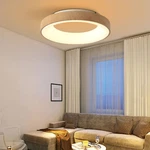 Modern Flush Mount Led Ceiling Light Acrylic Lampshade Indoor Chandelier Fixture. Fixed Price $69.45.