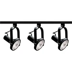 Black PAR30 Gimbal Ring Track. Fixed Price $97.99.