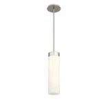 Wac Dweled Elementum 16" Pendant Satin Nickel Light Fixture PD-26616-SN. Fixed Price $299.87.