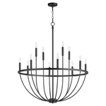 Matte Black 12 Light Chandelier From The Tribute Collection. Fixed Price $684.00.