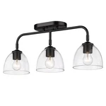 Golden Lighting Roxie Semi-flush, Bk/bk/clear 6958-3SFBLK-BLK-CLR. Fixed Price $189.99.