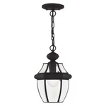 Livex Lighting 2152-04 Monterey 1-LIGHT Outdoor Hanging Lantern, Black. Fixed Price $169.18.