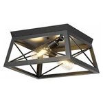 Pynsseu Industrial Ceiling Light, 2 Lights Farmhouse Semi Flush Mount Fi. Fixed Price $39.81.
