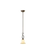Millennium Lighting Oxford Mini-pendant, Rubbed Bronze 1201-RBZ. Fixed Price $99.99.