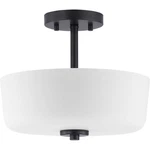Progress Lighting P350137 Tobin 12"W Semi-flush Drum Black. Fixed Price $104.99.