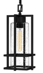 Quoizel DMN1507 Damien 8"W Mini Pendant - Black. Fixed Price $223.99.